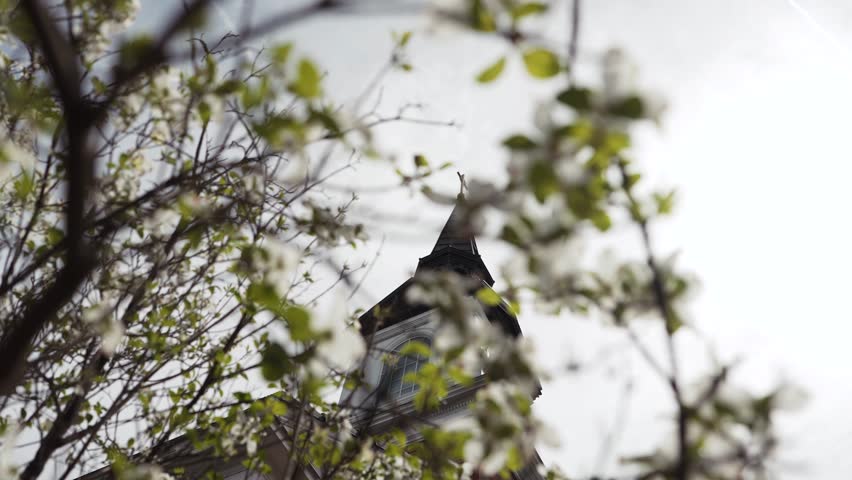 Looking up through green tree branches at a gold Church steeple with a crucifix cross at the top.