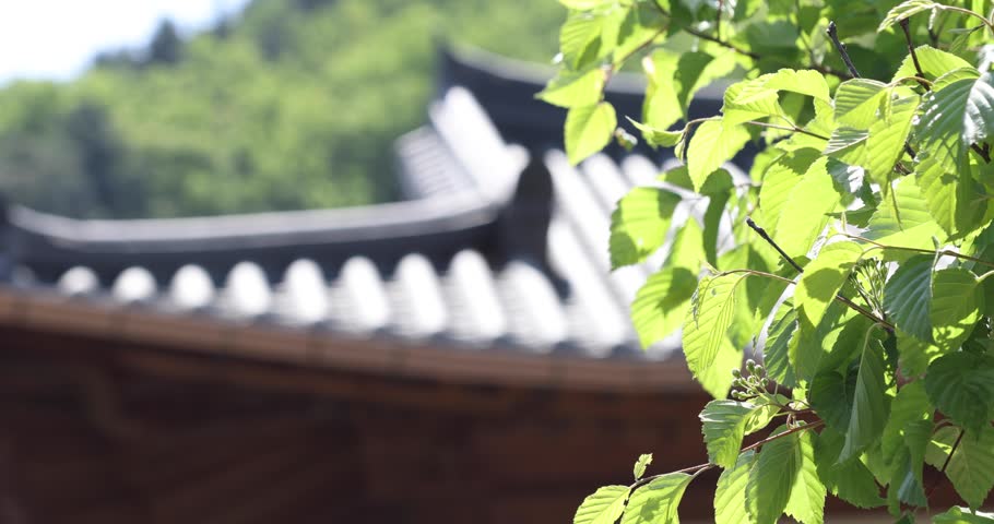 Hanok, a traditional garden in Gapyeon, Gyeonggi-do, South Korea