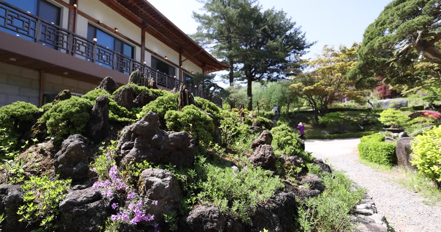 Bonsai, miniature tree, valley, waterfall, fountain in South Korea
