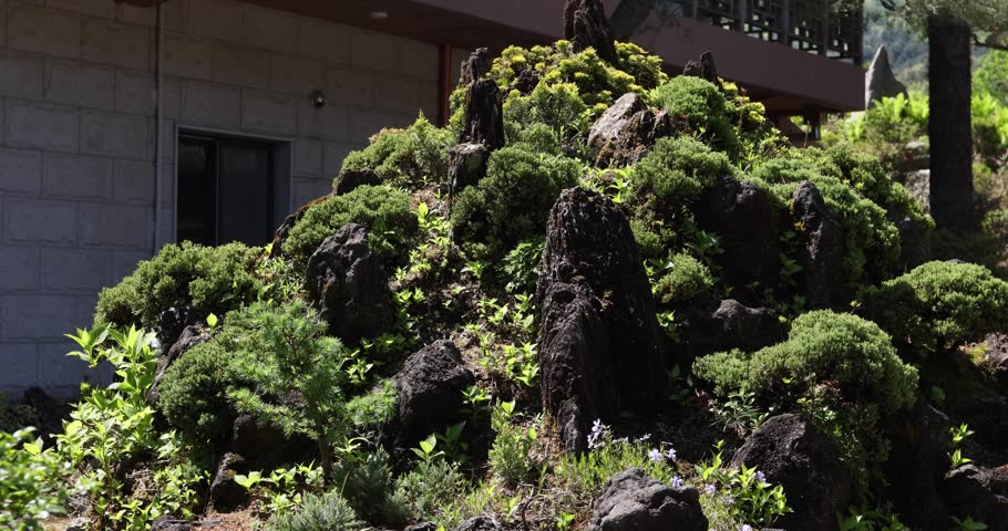 Bonsai, miniature tree, valley, waterfall, fountain in South Korea