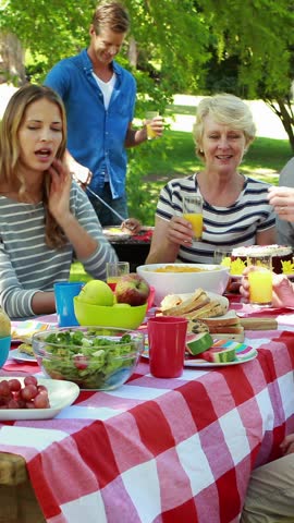 Family having picnic in the park on a sunny day