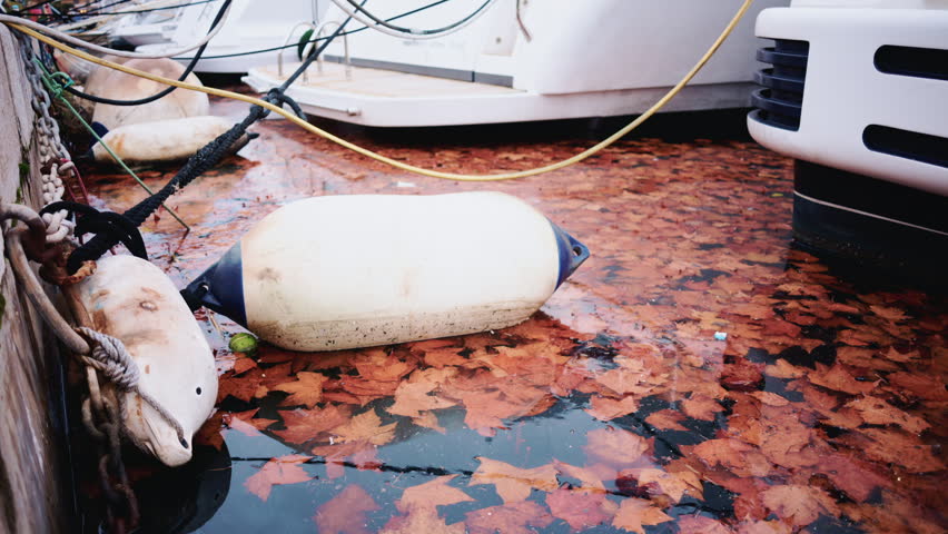 Close up of brown autumn leaves floating on still water next to the side of a moored boat