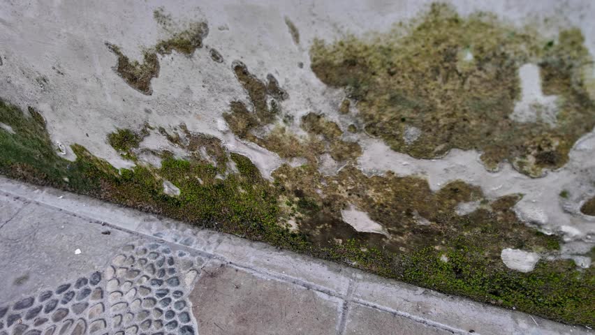 A shot of the lower section of a building wall showing erosion, dirt accumulation, and moss growth near the ground level.