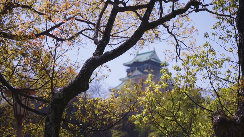 Candid View of Osaka Castle, Revealing from Park, Historic View of Japan