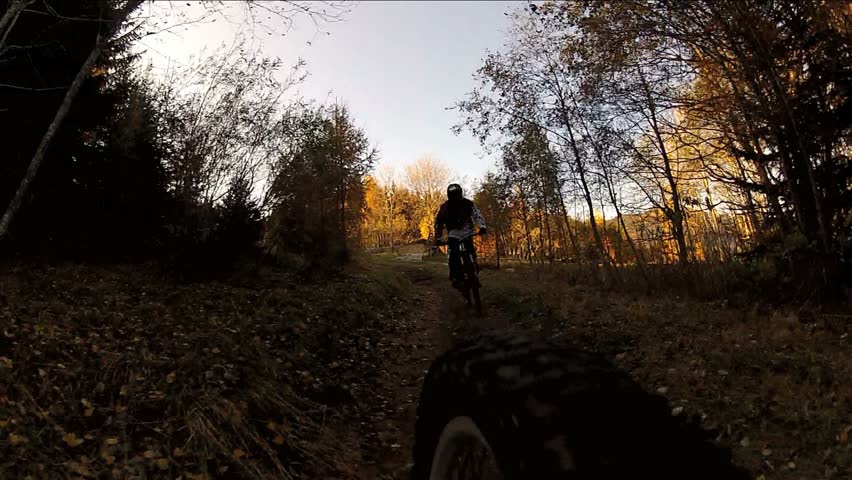 Downhill Mountain Bike driving through forest
