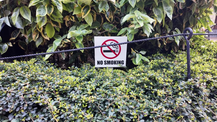 Approaching a no smoking sign placed in a garden area with lush greenery.