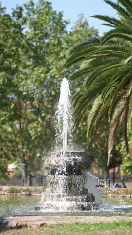 Water sprays upward from ancient stone fountain. Palm fronds sway gently in warm breeze. Lush green trees frame peaceful park scene. No people visible in this tranquil setting