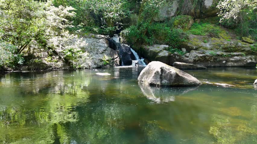 Crystal clear water cascading down moss covered rocks into a tranquil green pond. Lush forest scenery surrounding a secluded mountain stream
