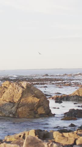 Rocky shoreline bathed in soft light, with copy space. Gentle waves caress the rugged rocks as the ocean extends to the horizon, slow motion.