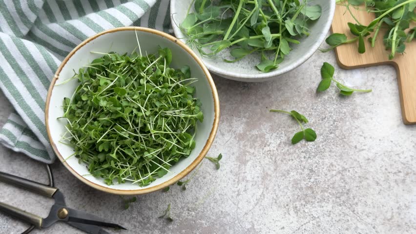 Ceramic bowl filled with freshly cut arugula microgreens