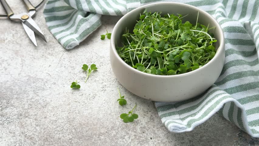 Ceramic bowl filled with freshly cut arugula microgreens