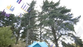 Infographics appearing, animating over turquoise tent, camera rotating, displaying campsite metrics. Camping, forest, pine, data, visualization, augmented, reality - Powered by Shutterstock - Get 15% off with code: PIKWIZARD15