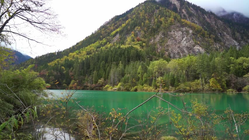 A majestic wide-angle view of a vibrant turquoise alpine lake reflecting the dense evergreen and deciduous forests of the mountains, with low-hanging clouds and mist clinging to the rocky peaks.