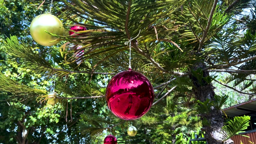 Christmas tree decorated with ornaments moving in wind, sunny day.