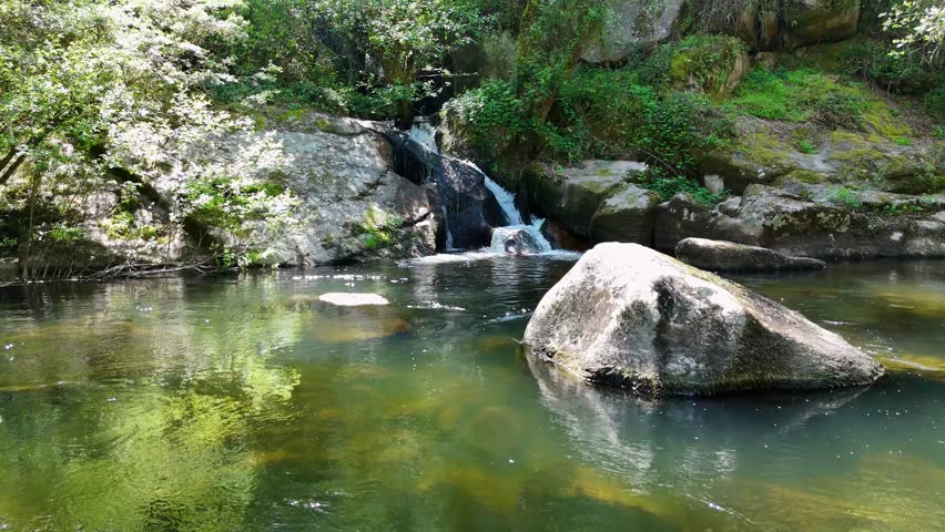 Tranquil river pond with a small waterfall flowing over mossy rocks. Lush green forest surrounds the serene landscape with beautiful reflections