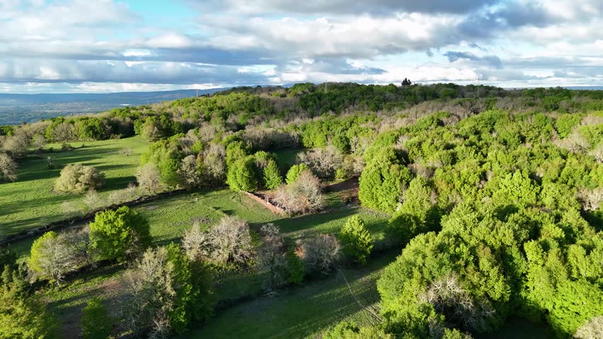 Beautiful aerial view of a verdant forest and rolling green hills. Sunlight illuminates the lush treetop canopy under a partly cloudy sky