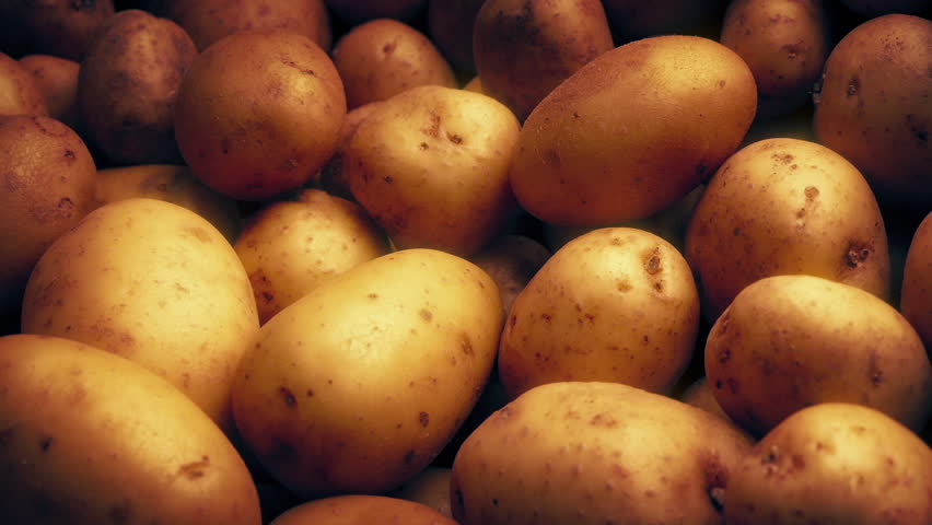 Potatoes In Sun Glow Moving Shot