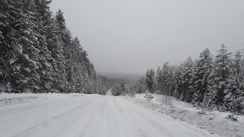 winter road in Russia trees in the snow