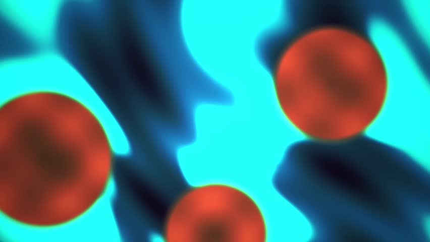 Red Blood Cells Under Microscope