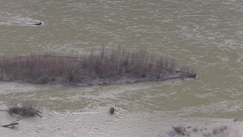Aerial View of a Wide, Murky River with a Small Treed Island in British Columbia, Canada