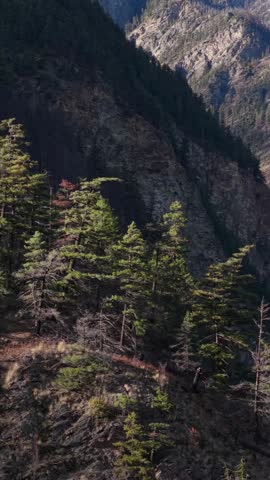 Majestic Snow-Capped Mountains and Pine Forests in British Columbia, Canada