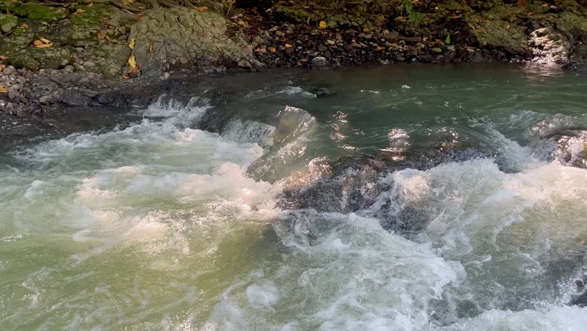 Close-up of rushing river rapids with intense white water foam flowing over dark rocks in bright daylight.