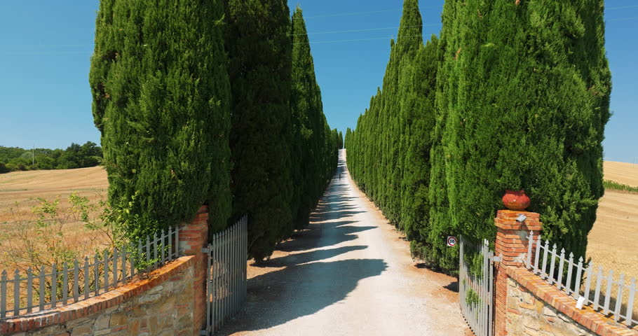 POV walking shot towards an Italian villa through a cypress alley in Tuscany. Scenic dirt road lined with tall green cypress trees under a bright blue summer sky. Concept of luxury travel 