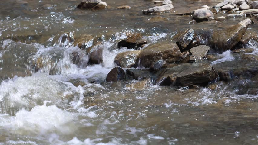 A river with rocks in the forest
