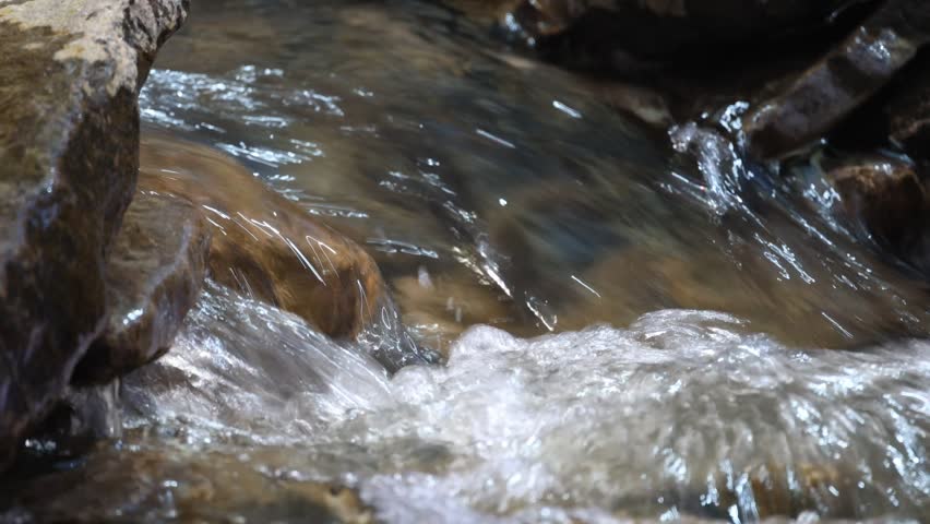 A river with rocks in the forest