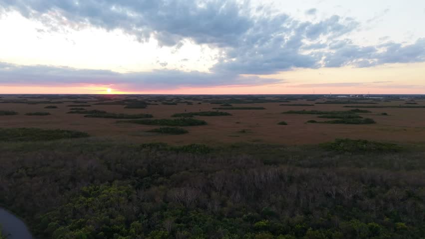 Expansive drone shot of the Florida Everglades ecosystem, featuring scattered cypress domes across a vast wetland landscape.