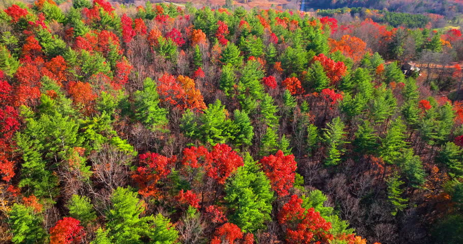 Scenic fall landscape of wooded Appalachian mountains. Colorful forest stretches across autumn mountain terrain.