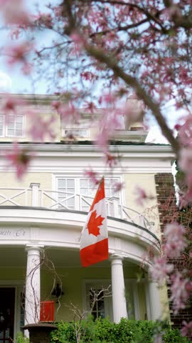 Lively depiction of Canadian insignia amidst blooming pink flowers and historic buildings