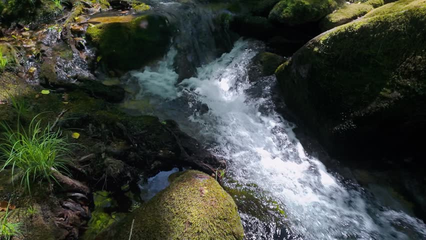 Close up view of clear creek water flowing rapidly over mossy rocks in a shaded, green forest. Sunlight filters through the trees, illuminating the fresh, bubbling stream in a natural setting