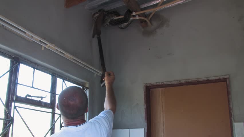 men carefully handle a massive African rock python From house Indoor Ceiling in a rural Botswana setting