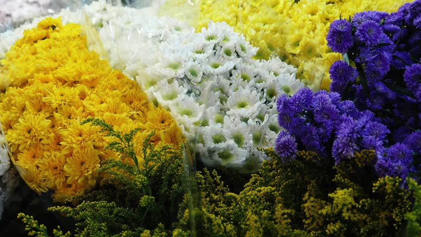 Chrysanthemum morifolium and purple aster bunches sitting in market stall, flower shop inventory, floral arrangement retail background, slow motion