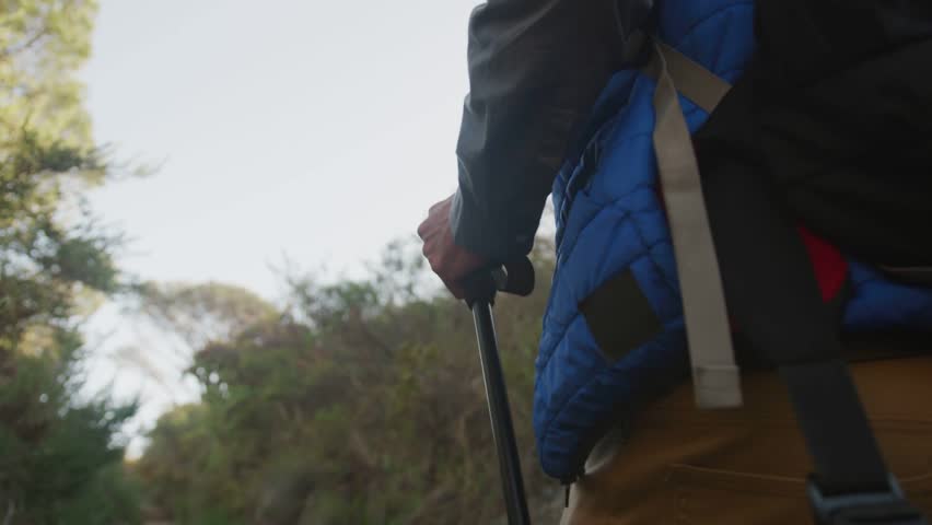Camera pulling back, hiker holding pole with pack heading toward sunlit area, tech HUD fading. Trail, forest, backpack, trek, outdoors, nature, overlay