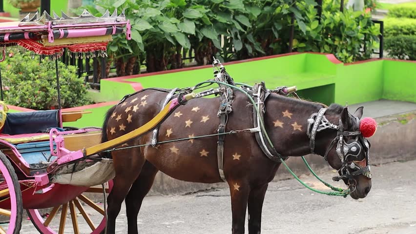 a horse pulling a carriage is resting on the side of the highway