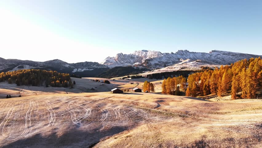 Stunning drone view of the Sassolungo mountain range, Langkofel in the Dolomites. Majestic alpine peaks covered in light snow, autumn colored forest all around, and yellow grass covered in morning white hoarfrost. Picturesque natural landscape