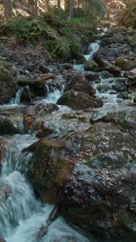 Peaceful Mountain Water Cascade Scene. Gentle Flowing Water In Forest With Fallen Foliage Over Stones