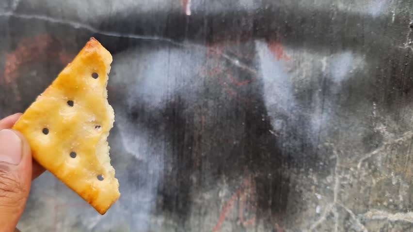 Hand Holding Crispy Sugar Malkist Cracker Premium Crunchy Savory Biscuit for Commercial Use