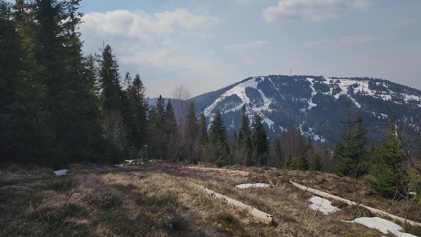 Mountain Peak with Snow Patches and Forest Landscape Footage