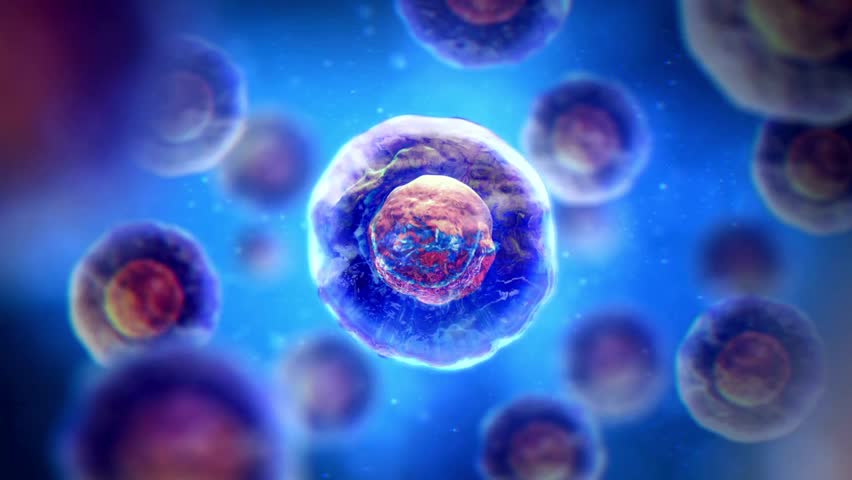 A high-detail 3D medical animation showing a central human cell with a prominent, textured nucleus and translucent cytoplasm floating among other cells in a vibrant blue biological environment.