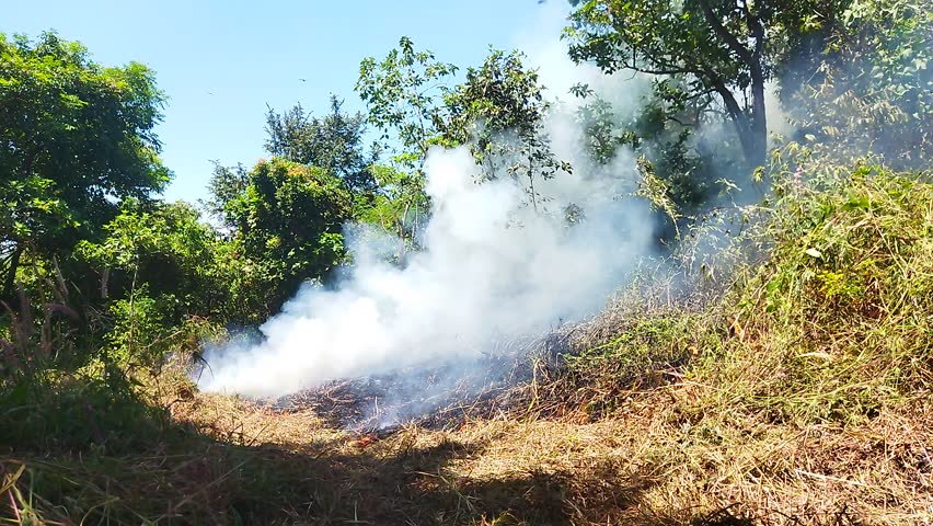 Forest and land fires (Karhutla) often occur in Indonesia, especially during the dry season. Main Cause: The majority of land fires, especially in peatlands, are caused by human activities, such as clearing land by burning or grass cutters. Extinguishing Efforts: Joint teams consisting of the TNI or Polri, BPBD, Perhutani or Manggala Agni officers, and local communities often struggle to extinguish the fires, sometimes with makeshift equipment. Field Challenges: The extinguishing process is often hampered by strong winds that accelerate the spread of fire, extreme hot weather, and difficulty in accessing water sources. Impact: Fires cause damage to vegetation, thick smoke that interferes with residents