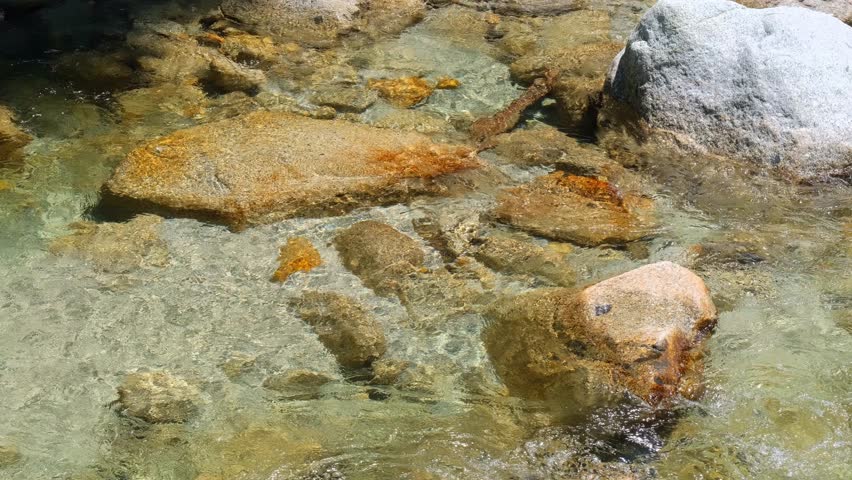 The clear flow of the river