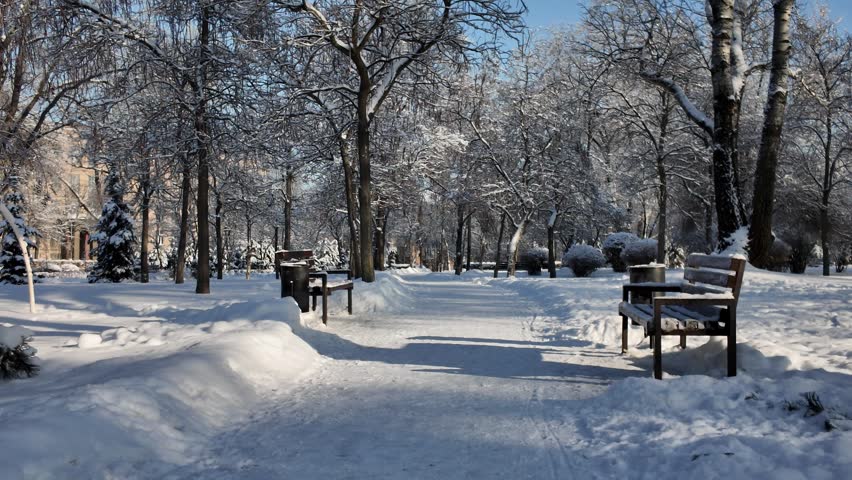 A serene winter park path covered in fresh white snow with trees and benches during the day. This snowy landscape offers a quiet and peaceful outdoor atmosphere.