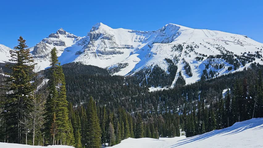 Banff National Park winter landscape with snow-covered ski runs, dense pine forest, dramatic Canadian Rockies peaks, and clear blue sky.