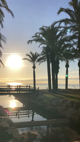 Sunrise glows among palm trees and over a bridge along the Mediterranean coast casting warm light and reflections in Malaga, Spain