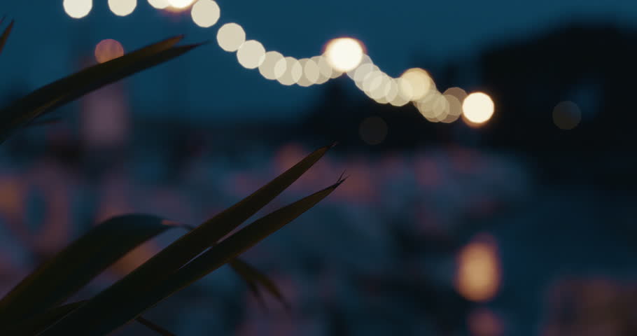Out-of-focus lights appear above a rocky shoreline beside the water at night with plant leaves in the foreground.