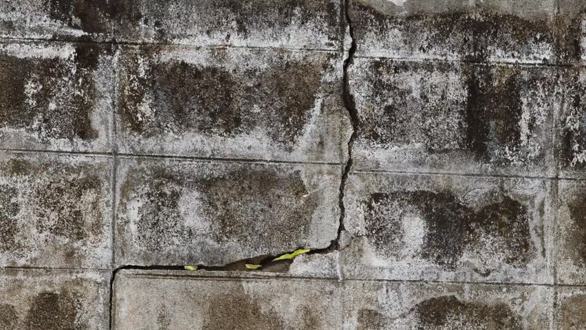 Cracks in the house fence