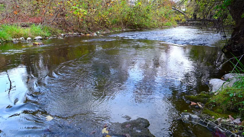 Edinburg, Virginia, USA, a tranquil river or stream scene during autumn. The water is calm, creating a clear reflection of the surrounding trees and overcast sky. The banks are lined with rocks and fallen autumn leaves in shades of orange and brown. 